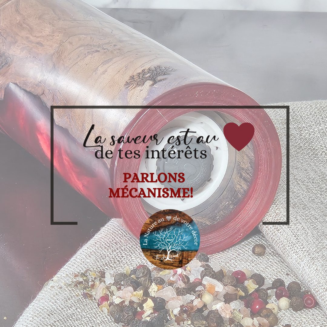 Maîtrisez l'Art de l'Assaisonnement: Le Choix du Bon Moulin